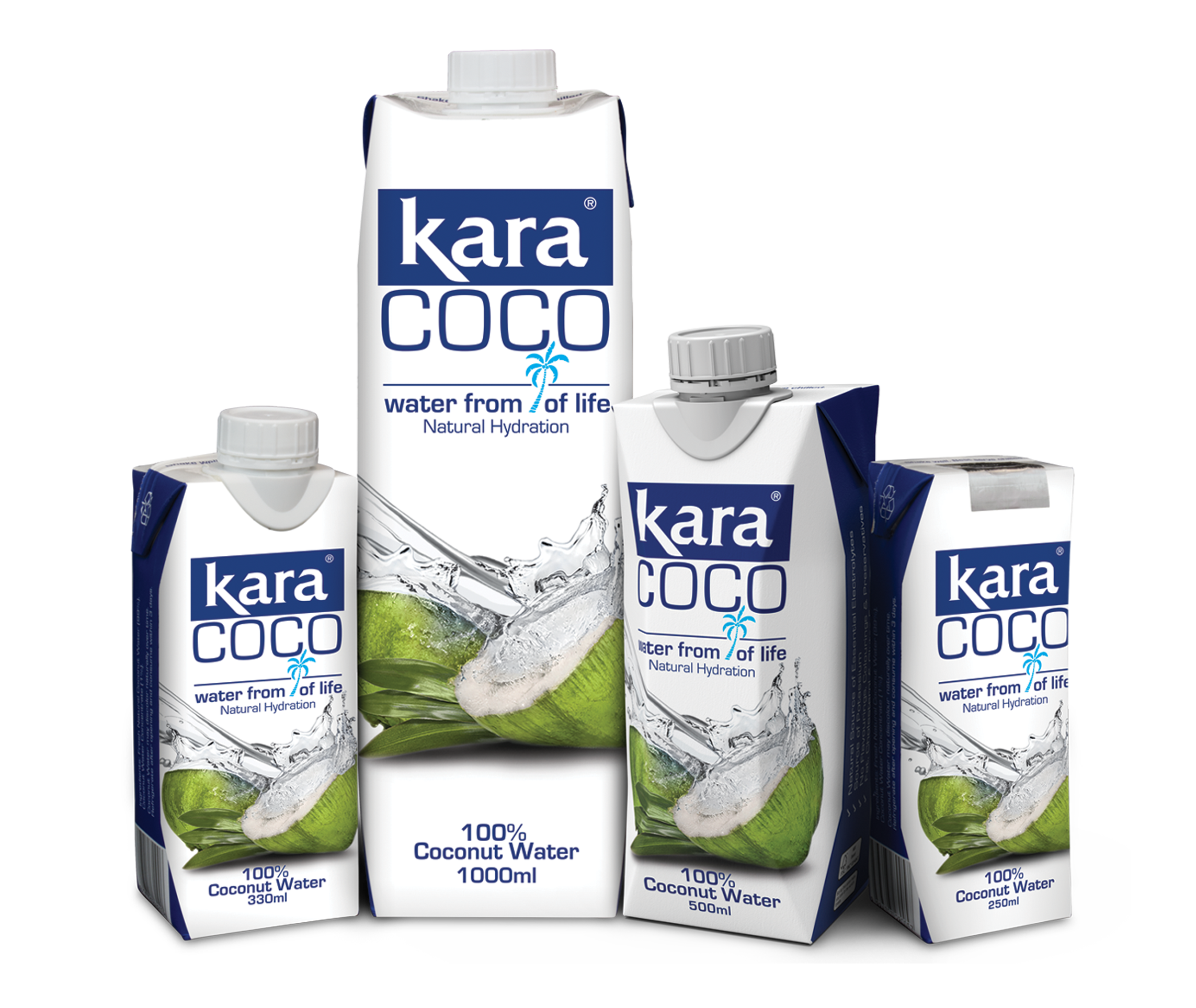 Kara Coconut Products